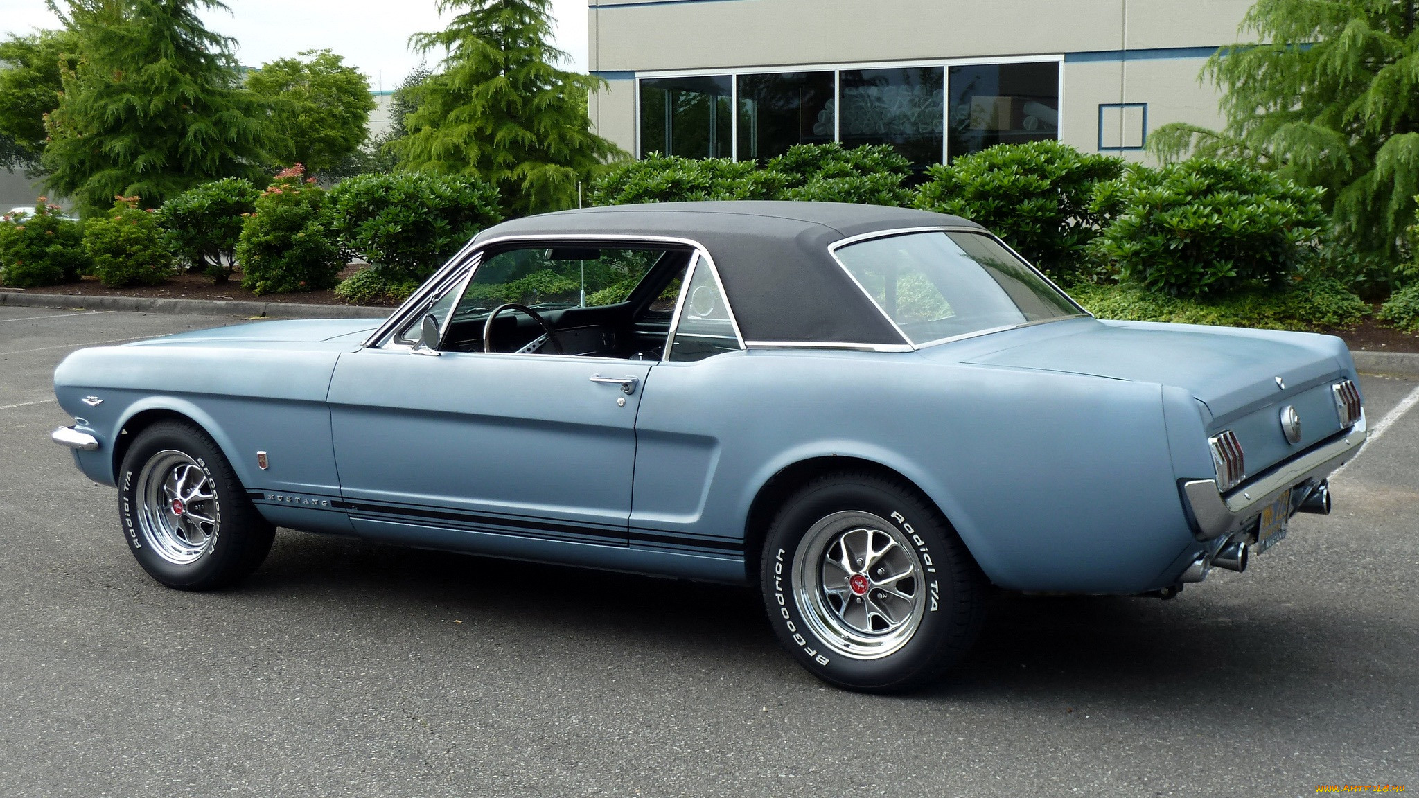 ford, mustang, , motor, company, 